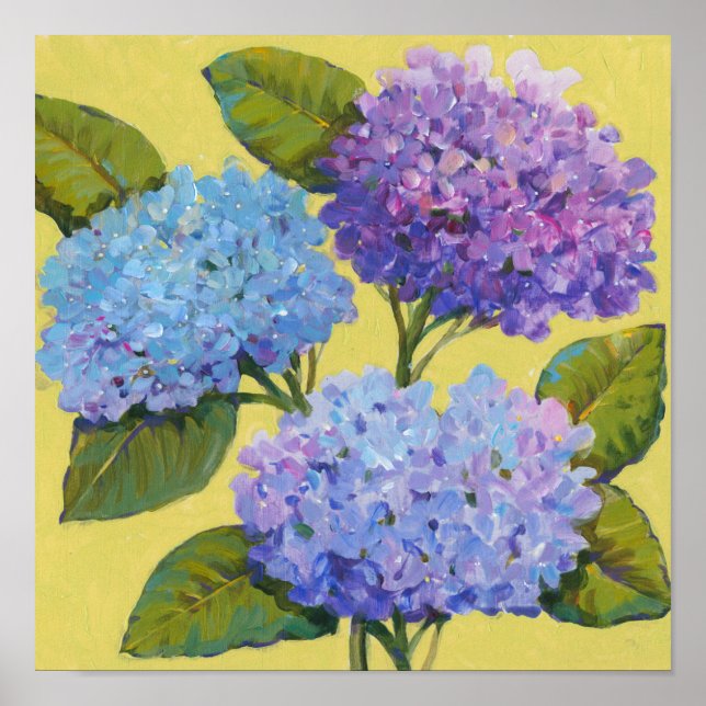 Spring Hydrangeas I Poster (Front)