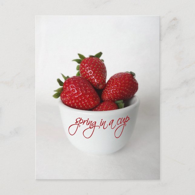spring in a cup postcard (Front)