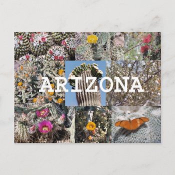 Spring In Arizona Postcard by Captain_Panama at Zazzle