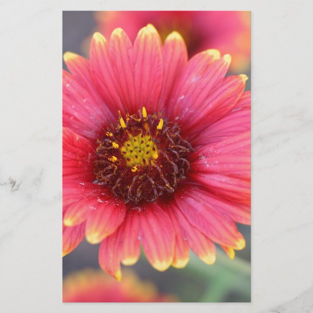 Spring in Bloom Stationery (Front)