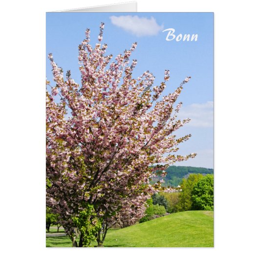 Spring in Bonn Cards (Front)