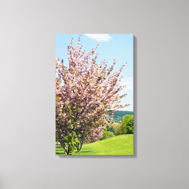 Spring in Bonn Wrapped Canvas Print (Front)