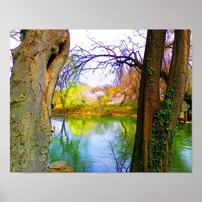 Spring in Central Park Poster (Front)