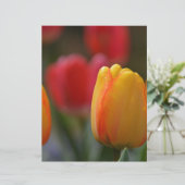 Spring in Colors (Standing Front)