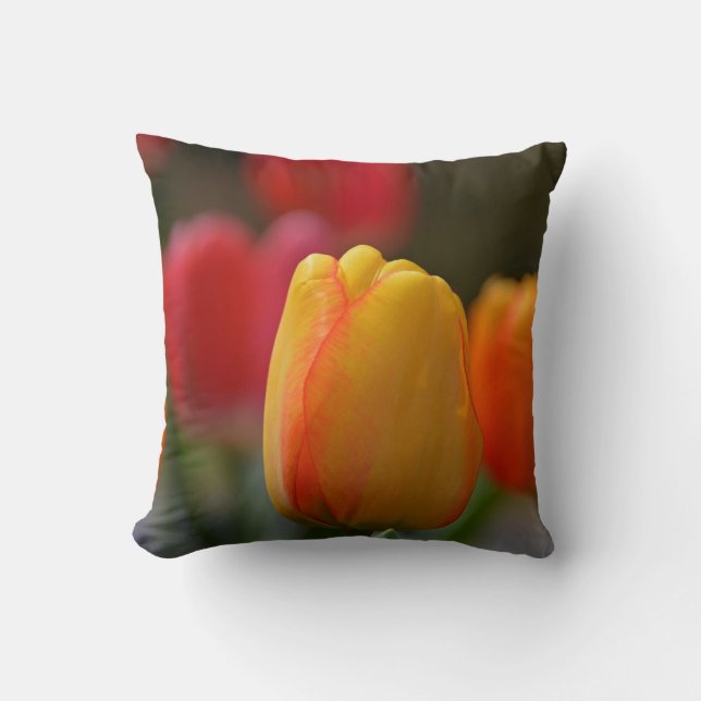 Spring in colors Throw Pillow (Front)