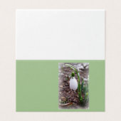 Spring in February (Outside Unfolded)