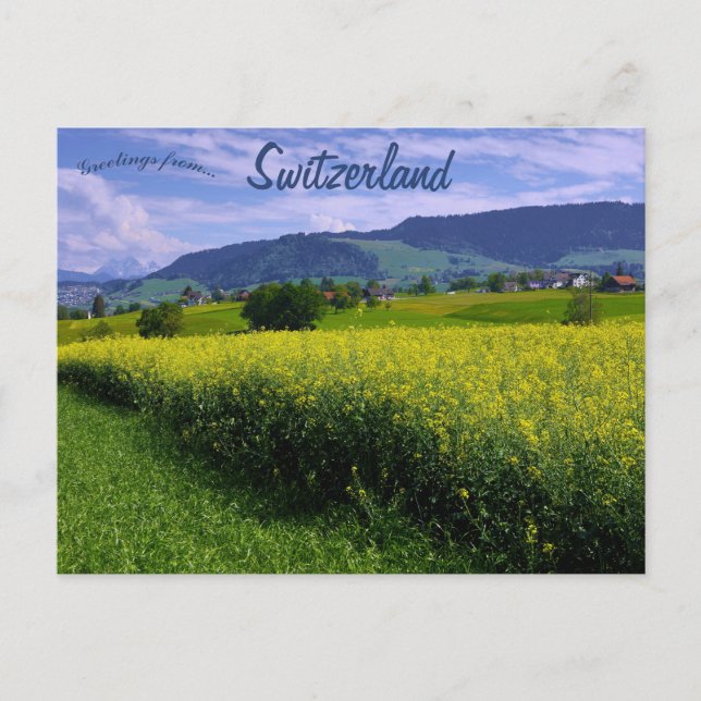 Spring in Hirzel Switzerland Postcard (Front)
