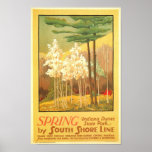 Spring In Indiana Dunes State Park Poster at Zazzle