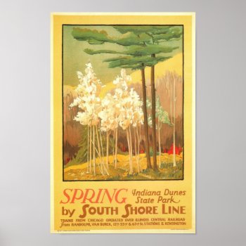 Spring In Indiana Dunes State Park Poster by Art1900 at Zazzle