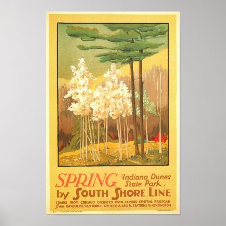 Spring In Indiana Dunes State Park Poster