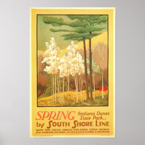 Spring in Indiana Dunes State Park Poster