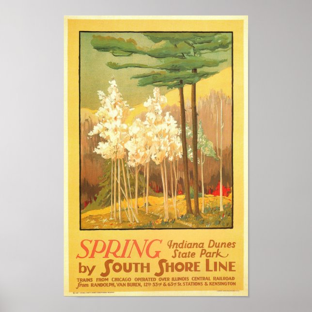 Spring in Indiana Dunes State Park Poster (Front)