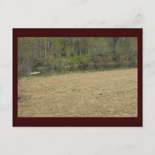 ~ Spring in Lancaster County ~ 5 Postcard