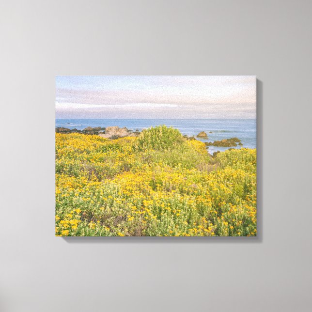 Spring in Monterey Canvas Print (Front)