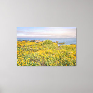 Spring in Monterey Canvas Print