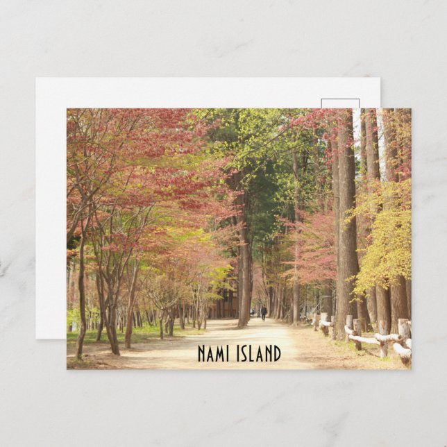 Spring in Nami Island Postcard (Front/Back)
