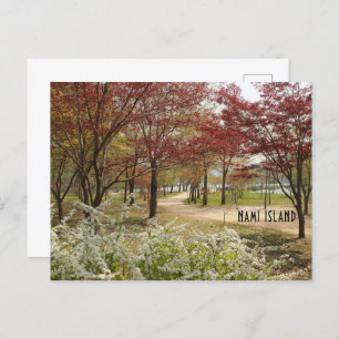 Spring in Nami Island Postcard