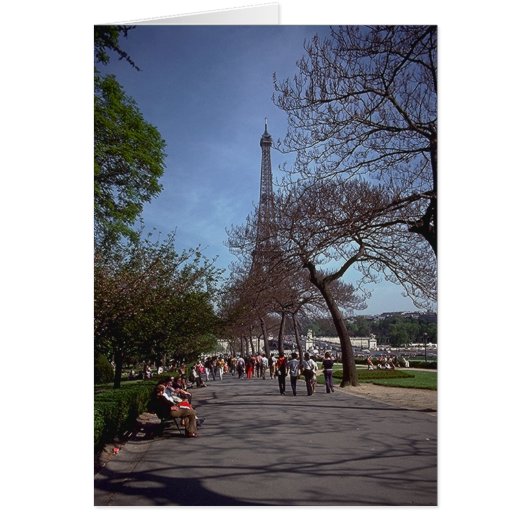 Spring in Paris Cards (Front)