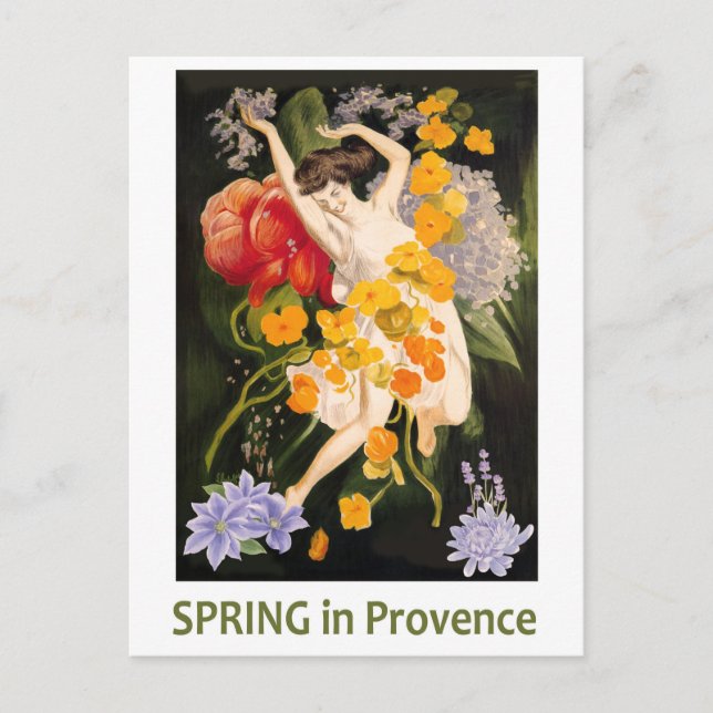 Spring in Provence, France Postcard (Front)