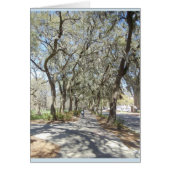 Spring in Savannah (Front)