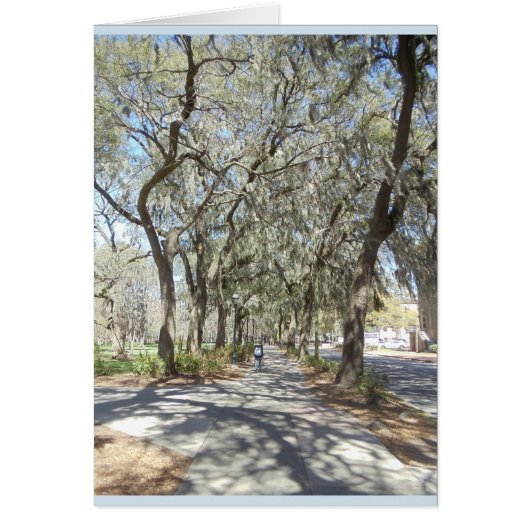 Spring in Savannah Cards (Front)
