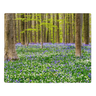 Spring in the Blue Forest Jigsaw Puzzle