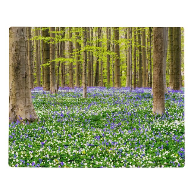 Spring in the Blue Forest Jigsaw Puzzle (Puzzle Horizontal)