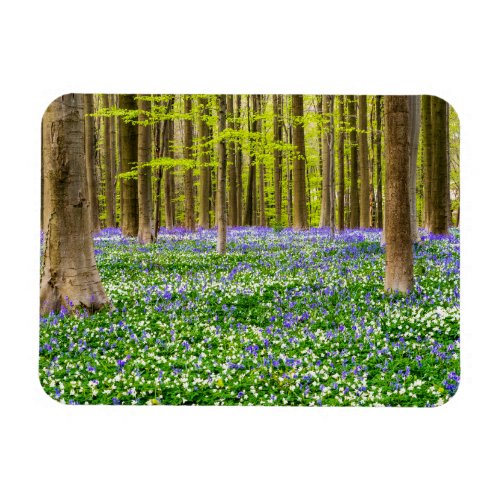 Spring in the Blue Forest Magnet