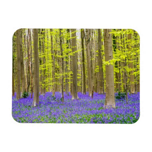 Spring in the Blue Forest Magnet