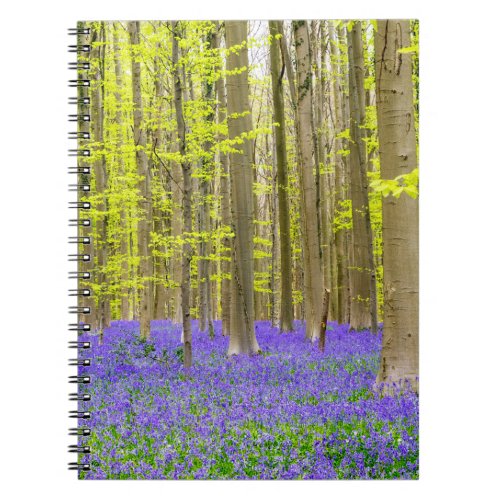 Spring in the Blue Forest Notebook