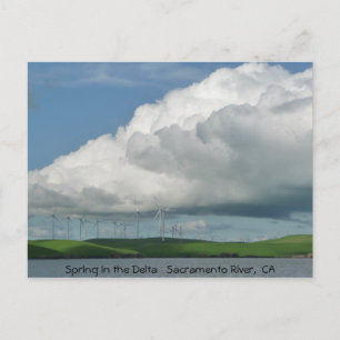Spring in the Delta Postcard