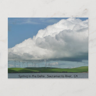 Spring in the Delta Postcard