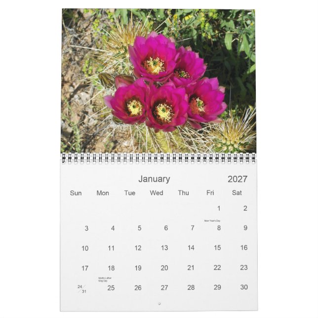 SPRING IN THE DESERT CALENDAR (Jan 2027)