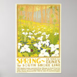 Spring- In The Dunes Poster at Zazzle