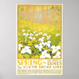 Spring- In The Dunes Poster