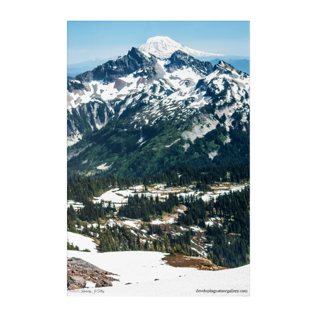 Spring in the Mountains Acrylic Print (Front)