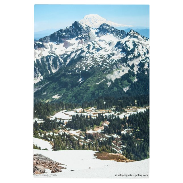 Spring in the Mountains Metal Print (Front)