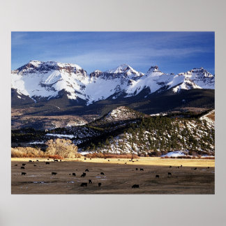 Spring in the San Juans Poster