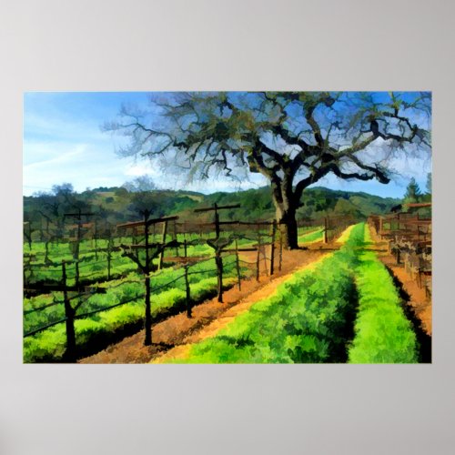 Spring in the Vineyard Poster