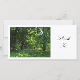 Spring in the Woods 01 - Thank You