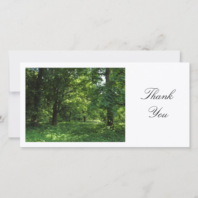 Spring in the Woods 01 - Thank You Card (Front)