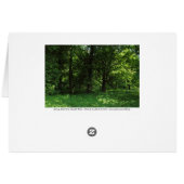 Spring in the Woods 02 (bordered) (Back Horizontal)