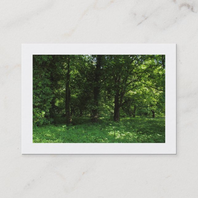 Spring in the Woods 02 (Bordered) Business Card (Front)