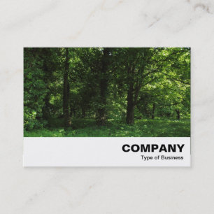 Spring in the Woods 02 Business Card