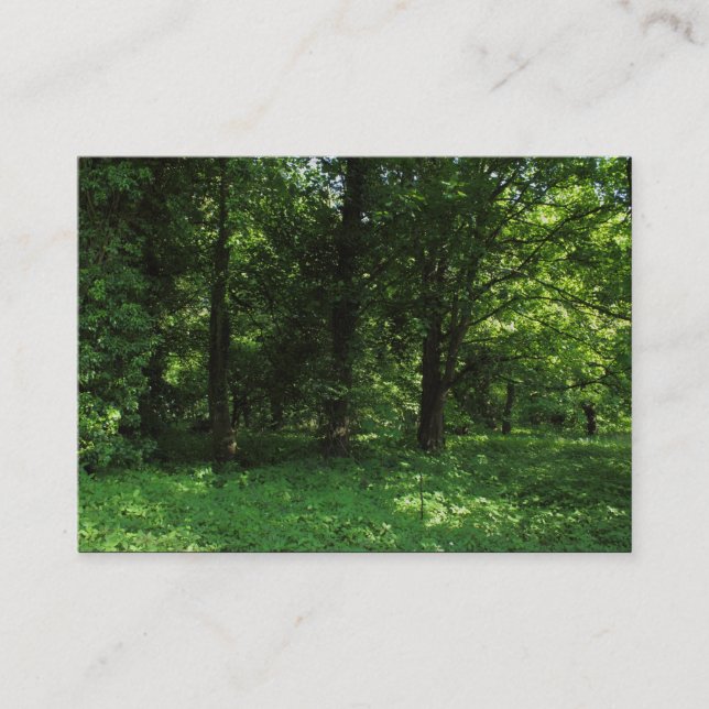 Spring in the Woods 02 Business Card (Front)
