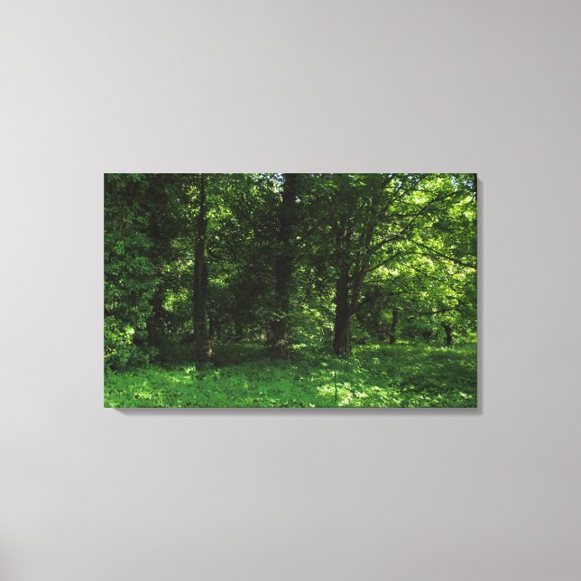 Spring in the Woods 02 Canvas Print (Front)