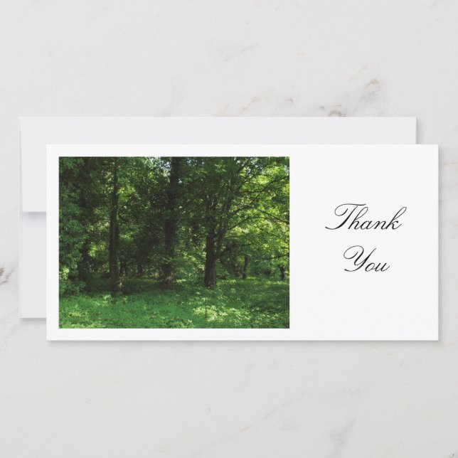 Spring in the Woods 02 - Thank You (Front)