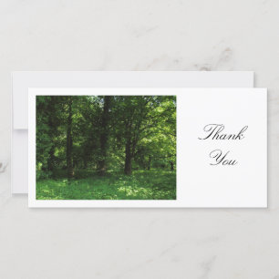 Spring in the Woods 02 - Thank You
