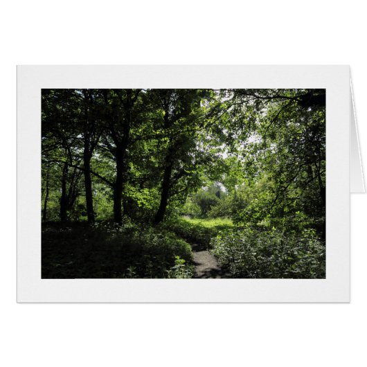 Spring in the Woods 03 (bordered) (Front Horizontal)