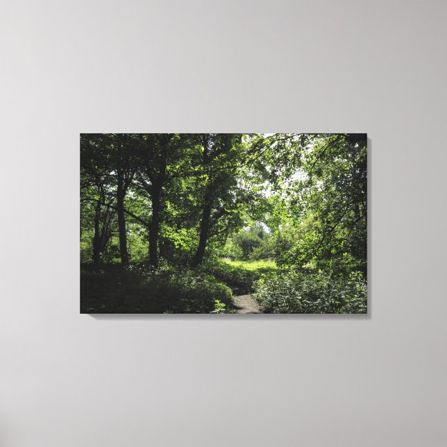 Spring in the Woods 03 Canvas Print (Front)